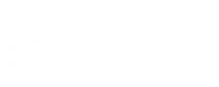 balireclaimedtimber.com